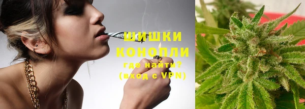 PSILOCYBIN Абдулино