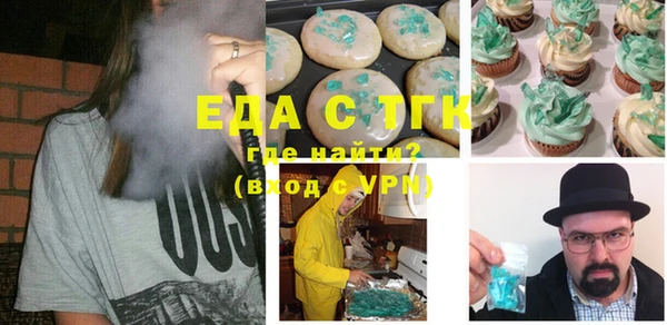 индика Надым