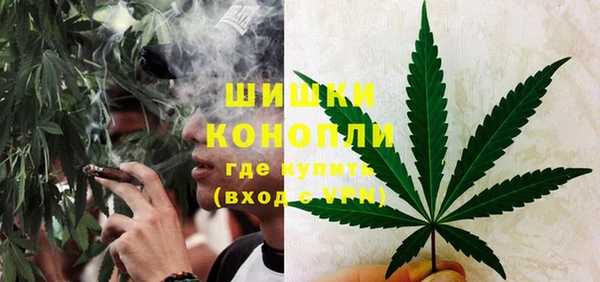 индика Надым
