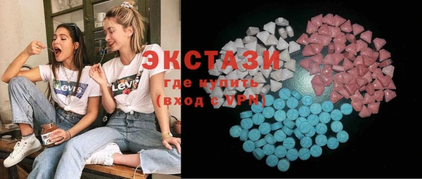 индика Надым