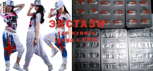 индика Надым