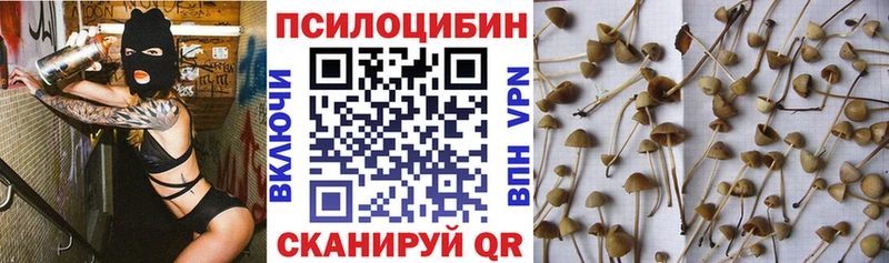 Псилоцибиновые грибы MAGIC MUSHROOMS  наркошоп  Таганрог 